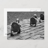 Machen Sie Weise für Entlein Postkarte (Vorne/Hinten)