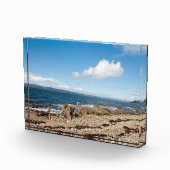 Machrie Bay Card Fotoblock (Rechts)