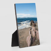 Machrie Bay Card Fotoplatte (Seite)