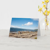 Machrie Bay Karte (Gelbe Blume)