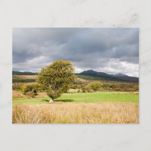 Machrie Moor Postkarte
