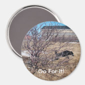 Mach's! Magnet (Vorderseite/Rückseite)