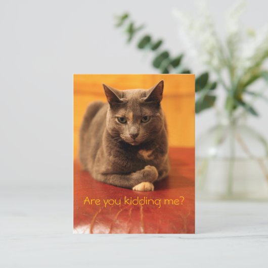 Machst du mir einen Witz? Postkarte (Stehend Vorderseite)