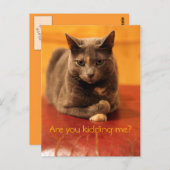 Machst du mir einen Witz? Postkarte (Vorne/Hinten)