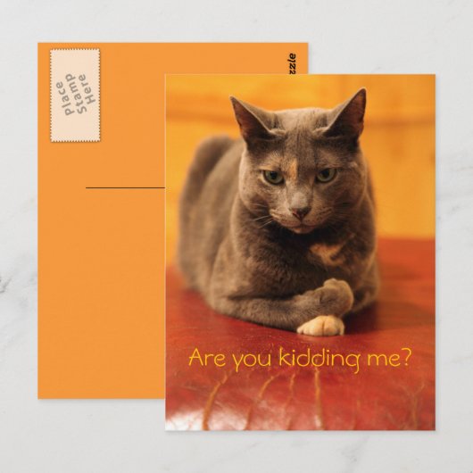 Machst du mir einen Witz? Postkarte (Vorne/Hinten)