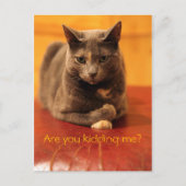 Machst du mir einen Witz? Postkarte (Vorderseite)