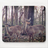 Macht auf dem Bauernhof Mousepad (Vorne)