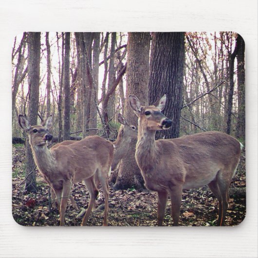 Macht auf dem Bauernhof Mousepad (Vorne)