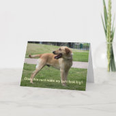 Macht diese Karte meinen Hintern groß aussehen? (Vorderseite)