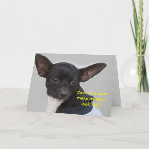 Macht diese Karte meinen Ohrblick groß? Chihuahua