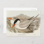 Mächtig von Elizabeth Gould Postkarte (Vorne/Hinten)