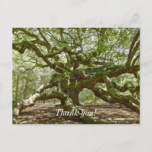 Mächtige Eiche Angel Oak Postkarte