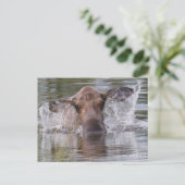 Mächtige Elche spielen cool Postkarte (Stehend Vorderseite)