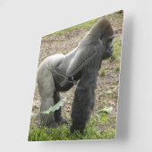 Mächtige Gorilla-Uhr Quadratische Wanduhr (Winkel)
