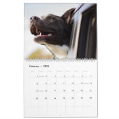 Mächtige Köteractive-Hunde Kalender (Feb 2026)