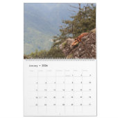 Mächtige Köteractive-Hunde Kalender (Jan 2026)