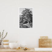 Mächtiger Eichenbaum Vintage Schwarz & Weiß Poster (Küche)