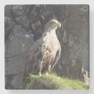 Mächtiger Weißschwanzadler auf Felsformation Wild Steinuntersetzer