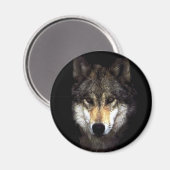 Machtwolf Magnet (Vorderseite/Rückseite)