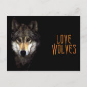 Machtwolf Postkarte (Vorderseite)