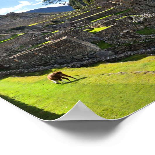 Machu Picchu Nachmittag Poster (Ecke)