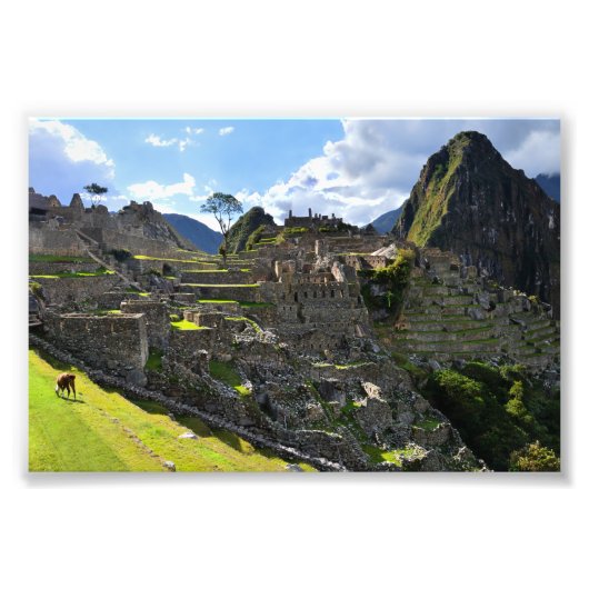 Machu Picchu, Peru, Nachmittag Fotodruck (Vorne)