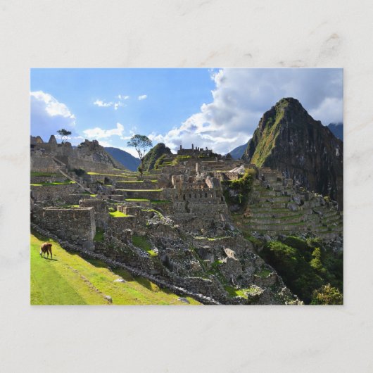 Machu Picchu, Peru, Nachmittag Postkarte (Vorderseite)