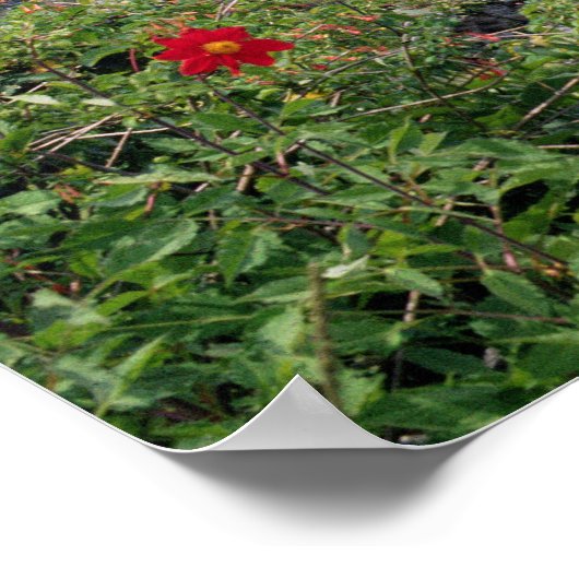 Machu Picchu, Peru Poster (Ecke)