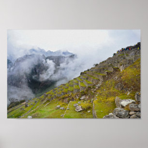 Machu Picchu, Peru, Terrassen Poster