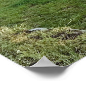 Machu Picchu Poster (Ecke)
