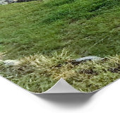 Machu Picchu Poster (Ecke)