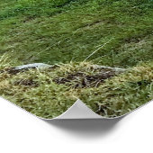Machu Picchu Poster (Ecke)