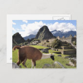 Machu Picchu Postkarte (Vorne/Hinten)