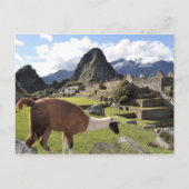 Machu Picchu Postkarte (Vorderseite)