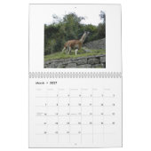Machu Picchu u. Cuzco, Kalender Perus 2014 (Mär 2027)
