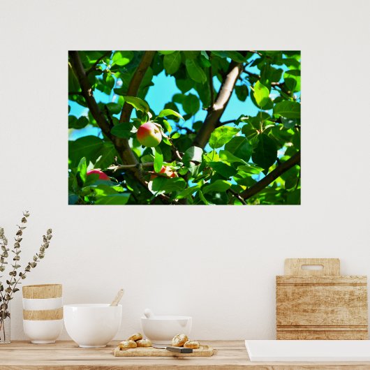 MacIntosh Äpfel auf Tree Ile d'Orleans Poster (Küche)