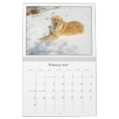 Mack Kalender 2008 (Feb 2027)