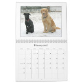 Mack Kalender 2009 (Feb 2027)