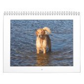 Mack Kalender 2009 (Titelbild)