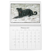 Mack u. der Freund-2012 Kalender (Feb 2027)