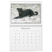 Mack u. der Freund-2012 Kalender (Feb 2026)