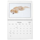 Mack u. Freund-Kalender 2010 Kalender (Feb 2027)