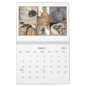 Mack u. Freund-Kalender 2010 Kalender (Mär 2027)