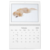 Mack u. Freund-Kalender 2010 Kalender (Feb 2026)