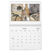 Mack u. Freund-Kalender 2010 Kalender (Mär 2026)