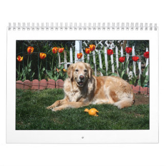 Mack und Freunde 2011 Kalender