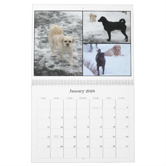 Mack und Freunde 2011 Kalender (Jan 2026)