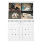 Mack und Freunde 2011 Kalender (Mär 2026)