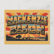 Mackenzie-Bisons NT Taiga-Ebenen-Schutzgebiet Kuns