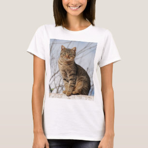 Mackerel Tabby Cat Women's T - Shirt